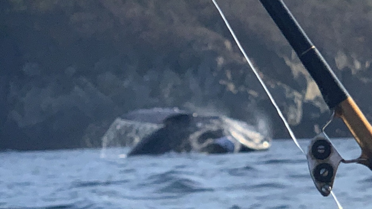 Photo of Others in Playa la Madera