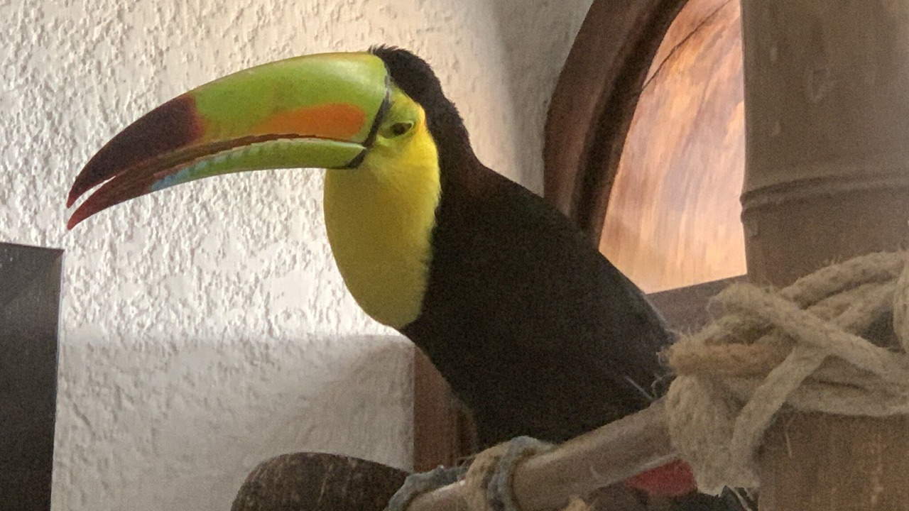 Photo of Bedroom in Playa la Madera