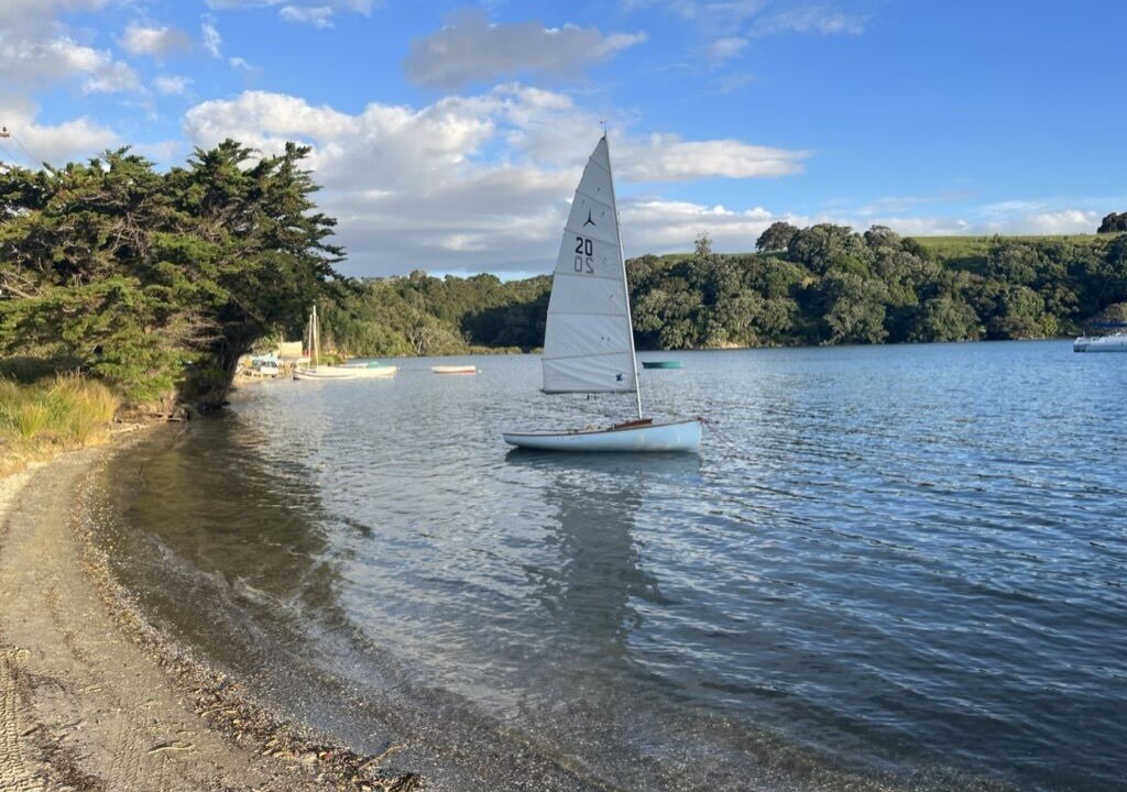 Photo of Others in Whangateau