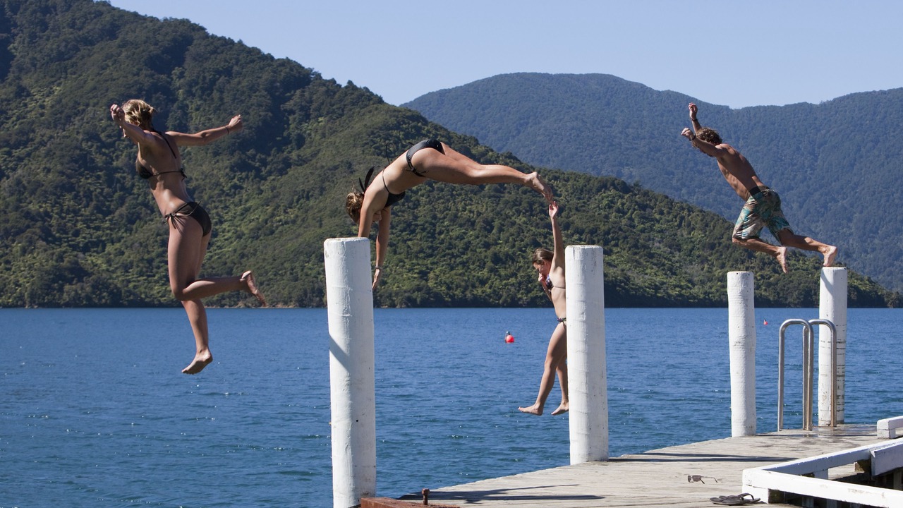 Photo of Others in Wilson Bay