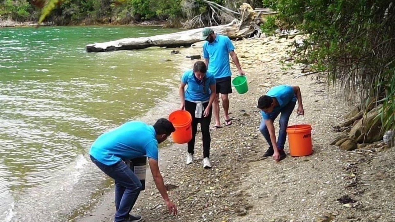 Photo of Others in Wilson Bay