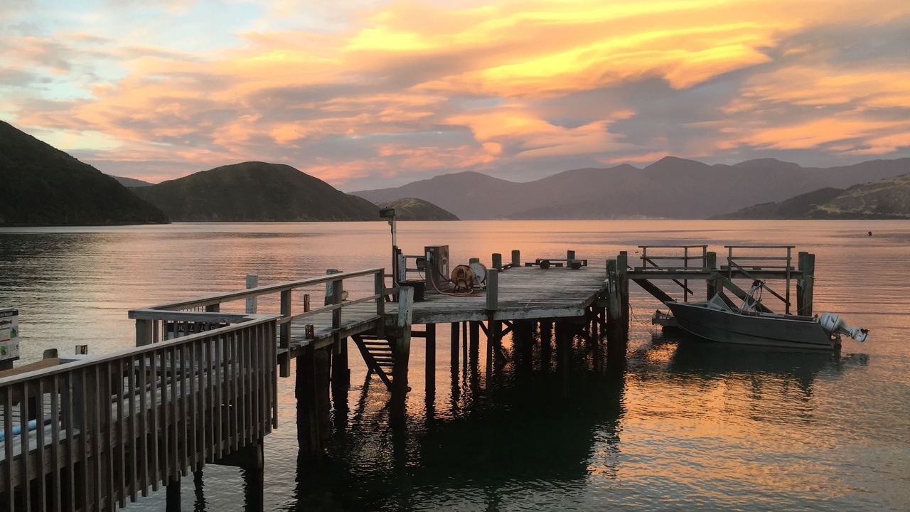 Photo of Others in Wilson Bay