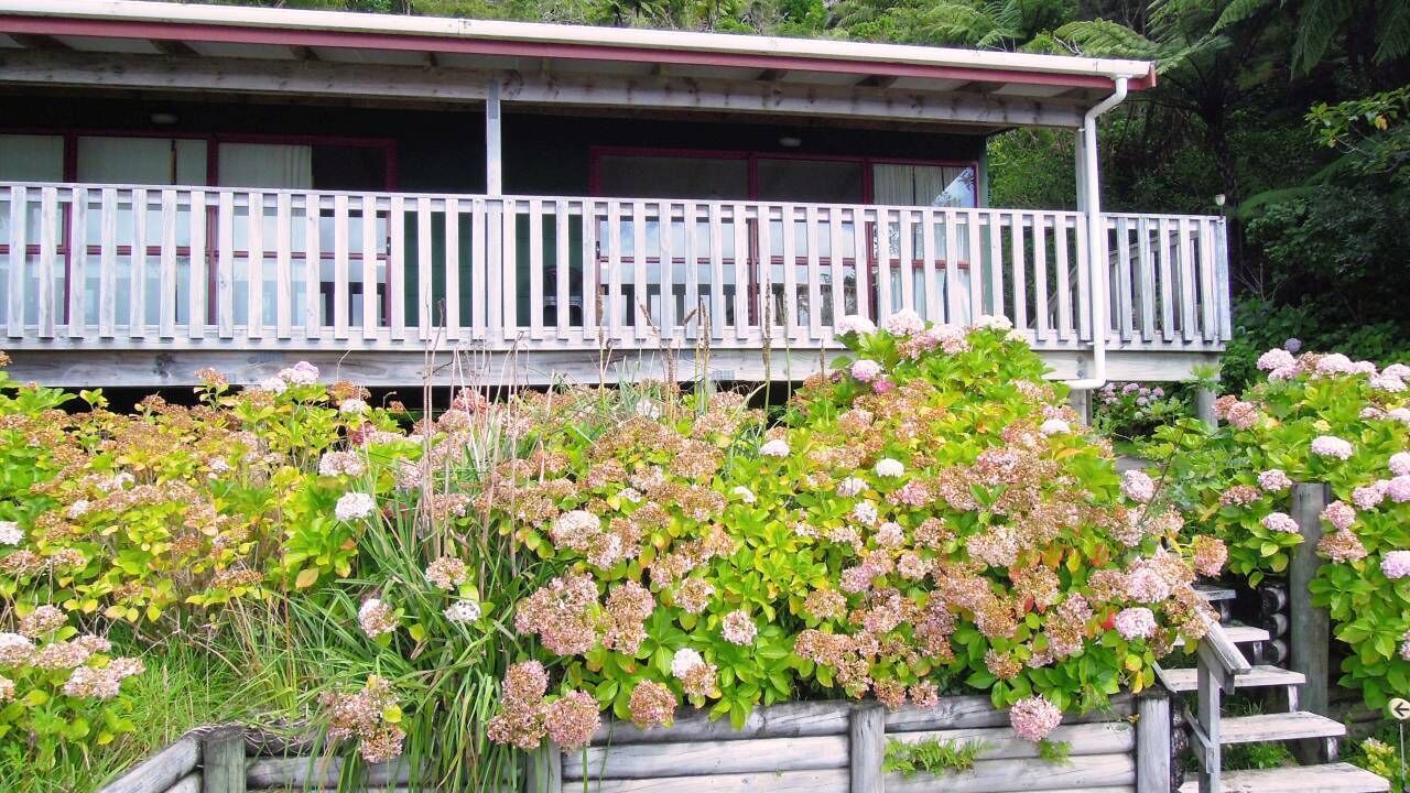 Photo of Outdoor in Wilson Bay