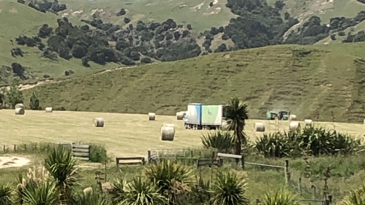 Photo of Outdoor in Tuki Tuki