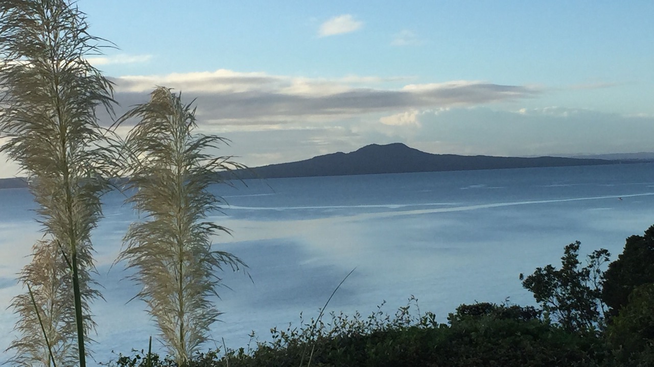 Photo of Others in Mairangi Bay