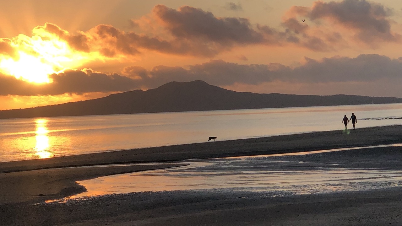 Photo of Others in Mairangi Bay