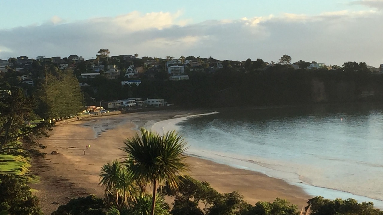 Photo of Others in Mairangi Bay