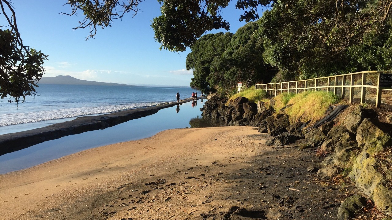 Photo of Others in Mairangi Bay