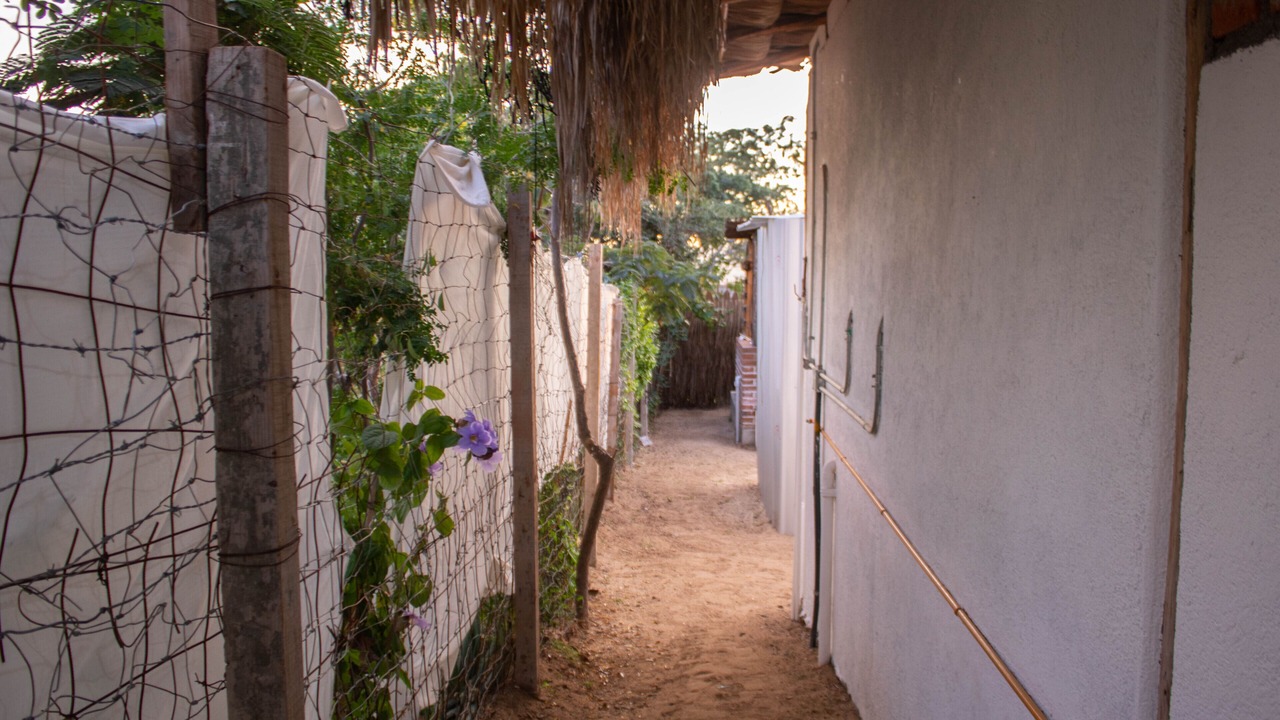 Photo of Outdoor in El Tezal