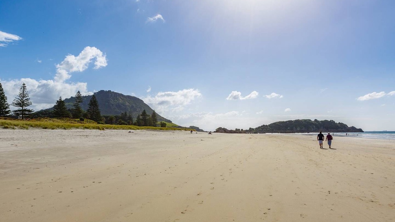 Photo of Others in Mount Maunganui