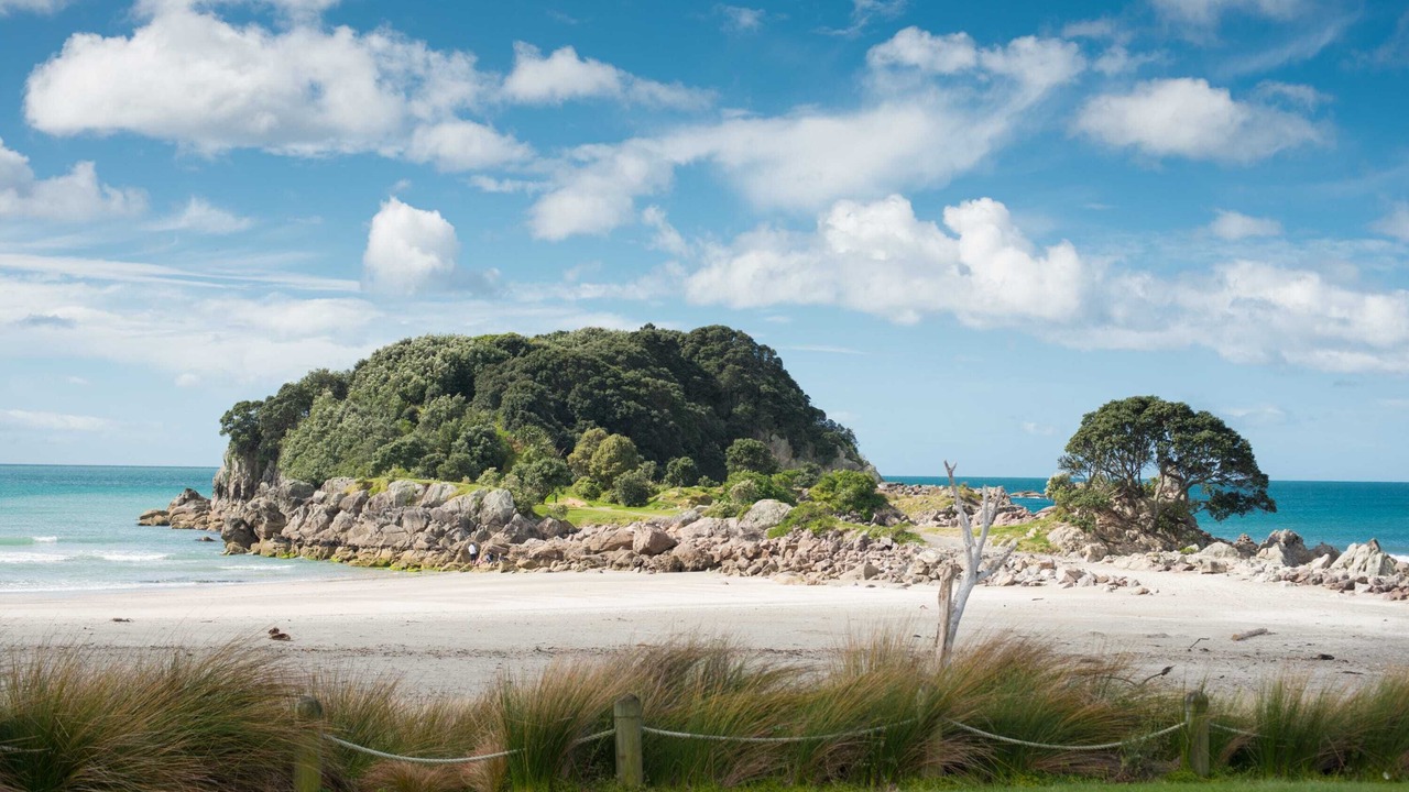 Photo of Others in Mount Maunganui