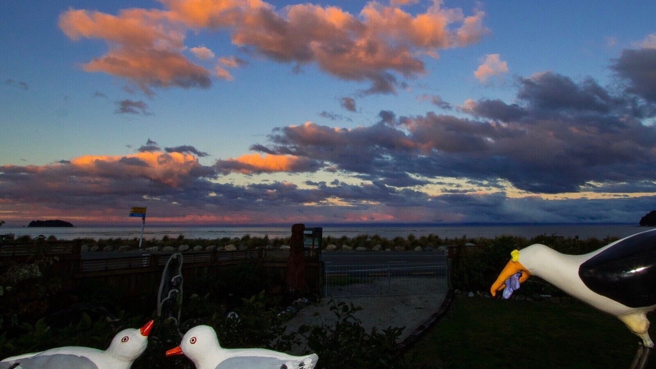 Photo of Others in Ngaio Bay