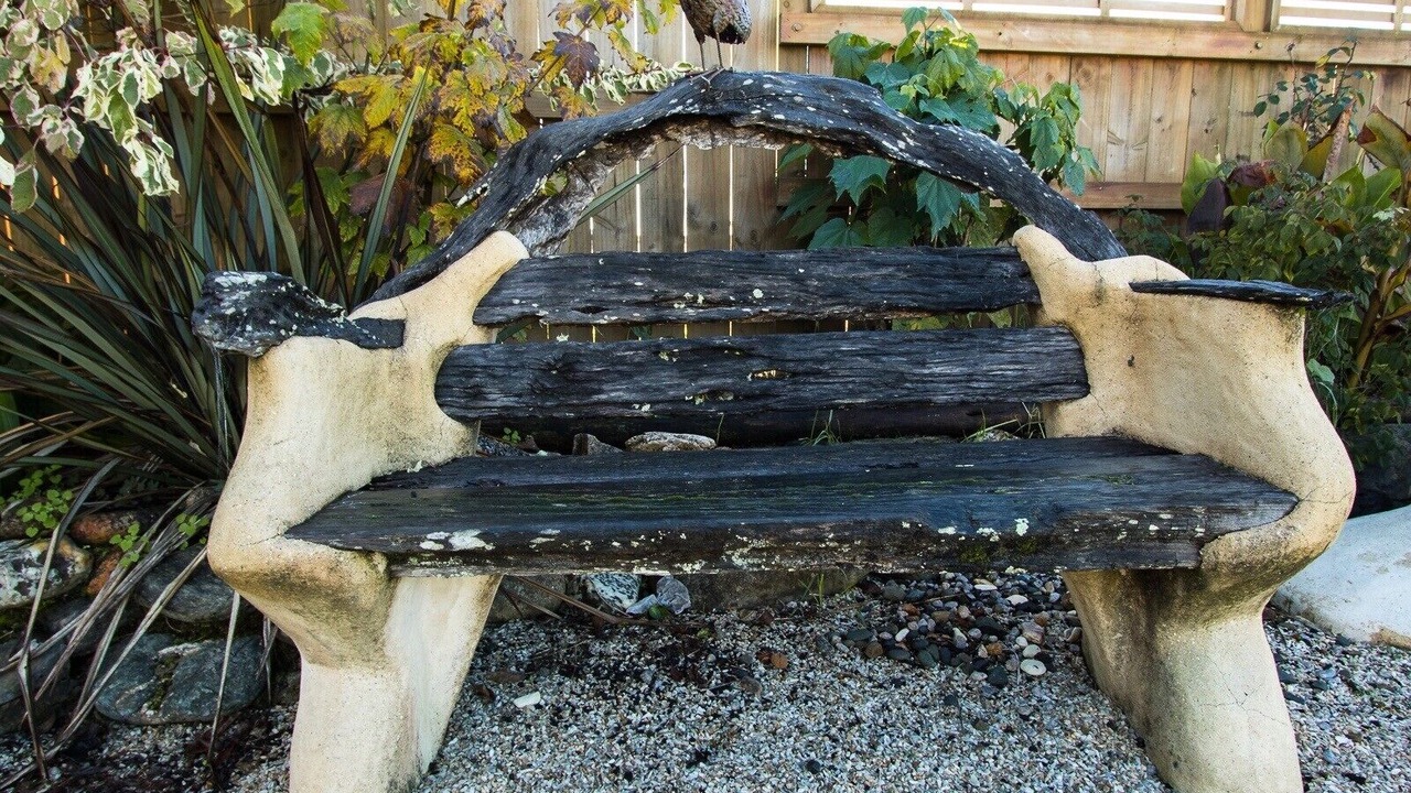 Photo of Outdoor in Ngaio Bay