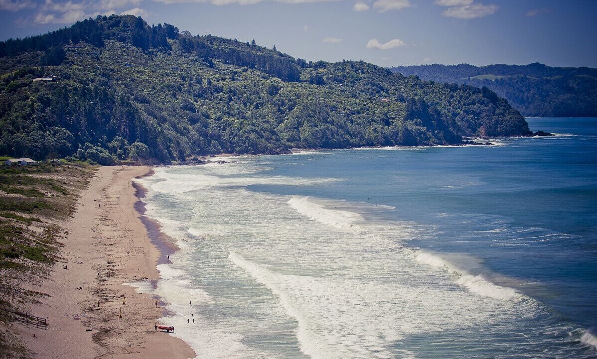 Photo of Others in Tairua
