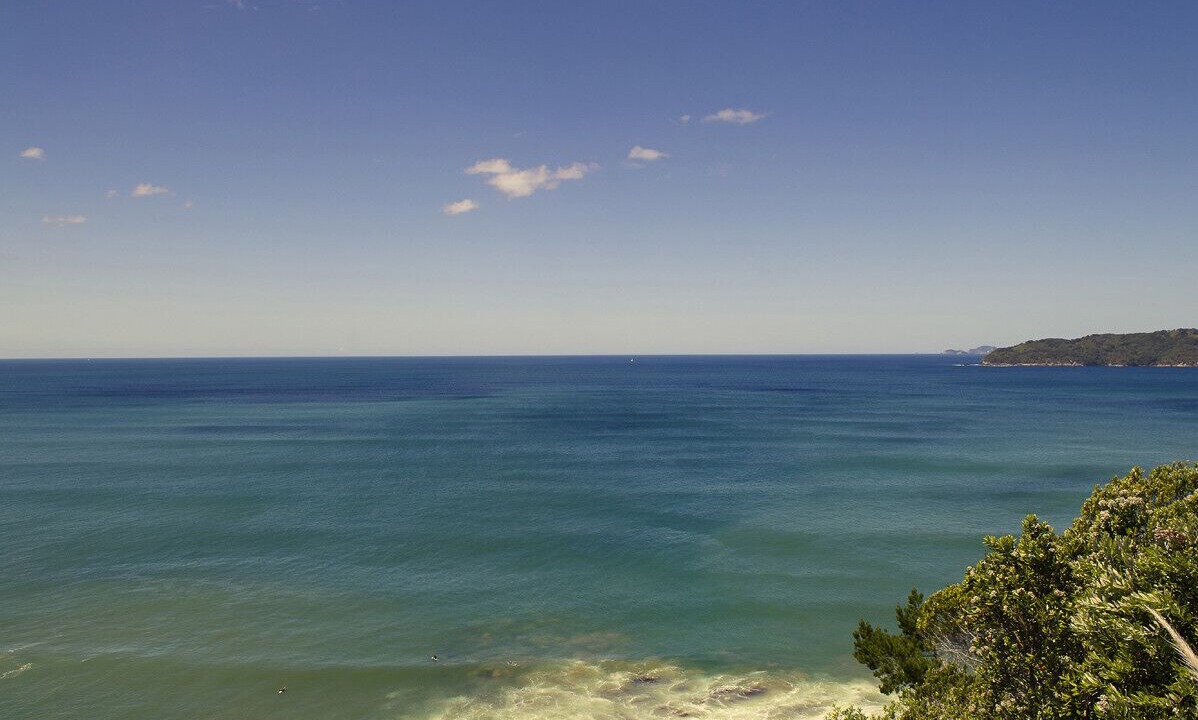 Photo of Others in Tairua