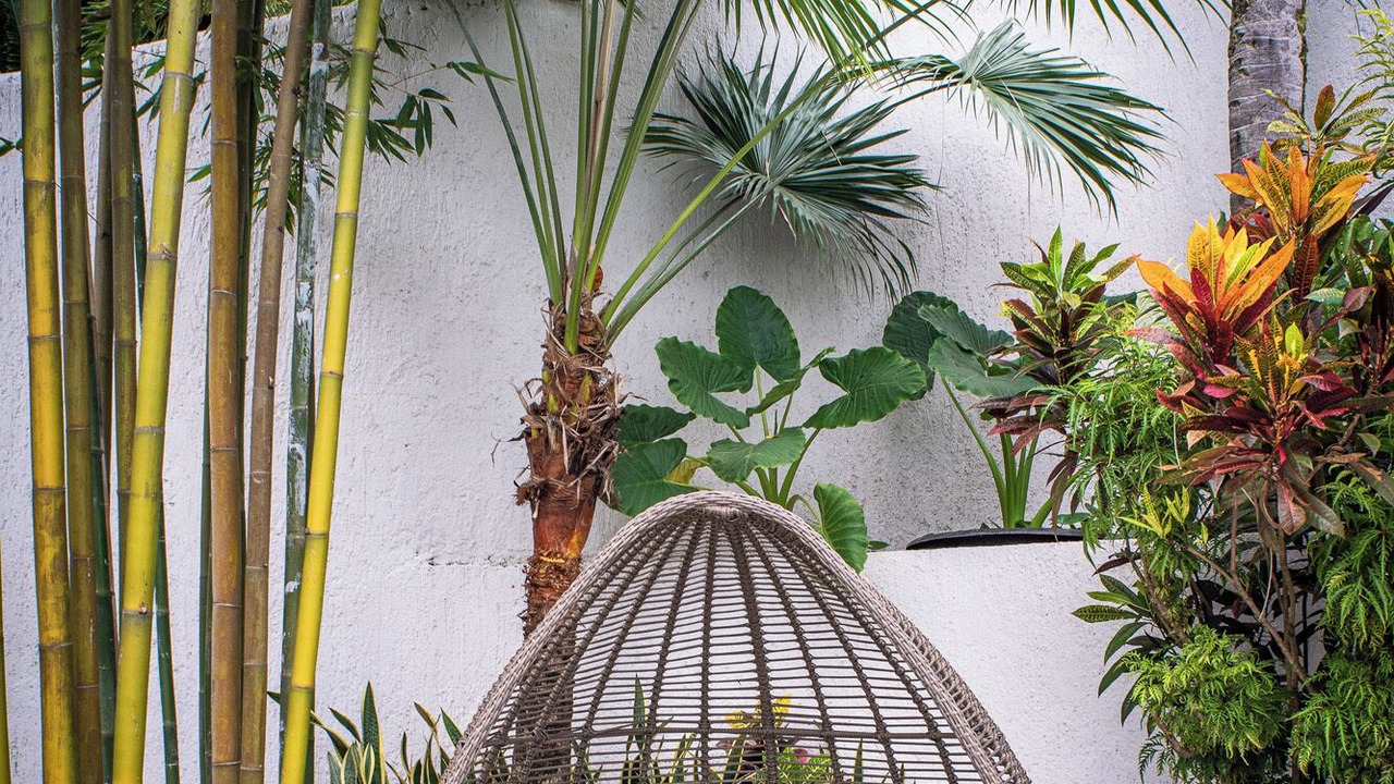 Photo of Patio Balcony in Conchas Chinas
