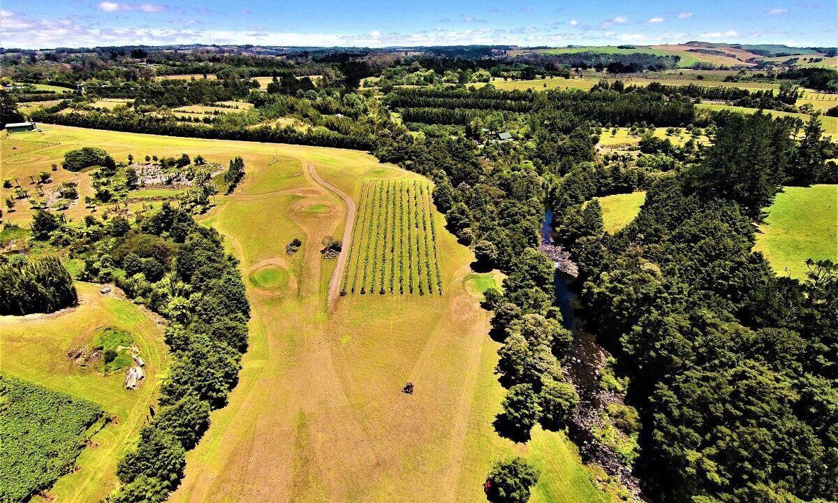 Photo of Others in Kerikeri
