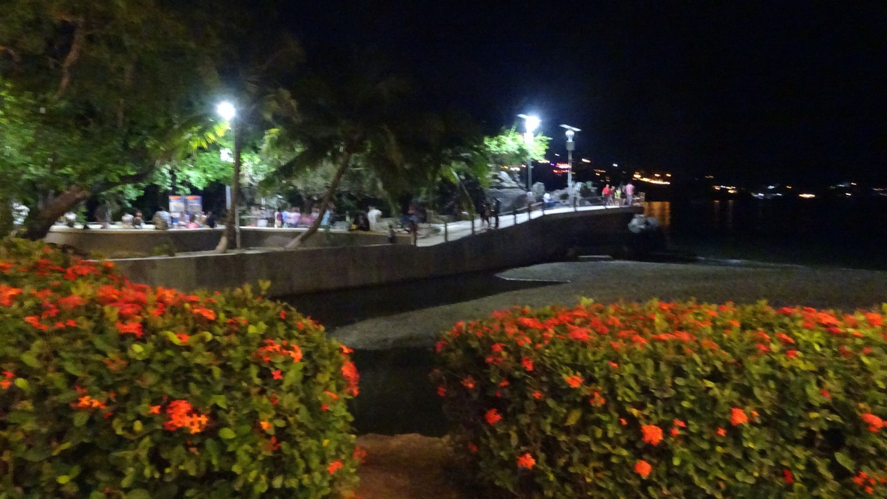 Photo of Others in Playa la Madera