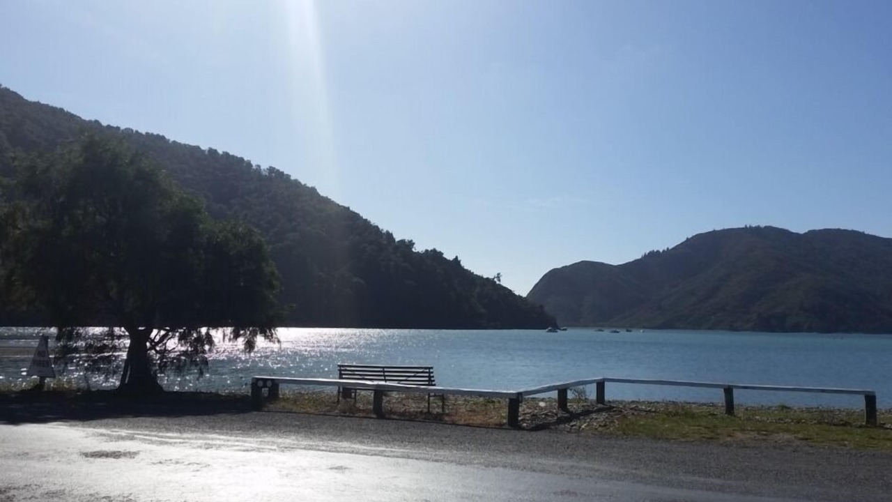 Photo of Others in Okiwi Bay