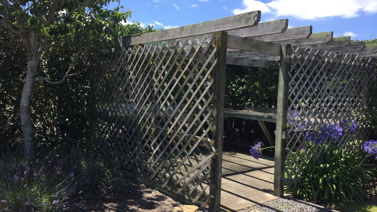Photo of Others in Porangahau