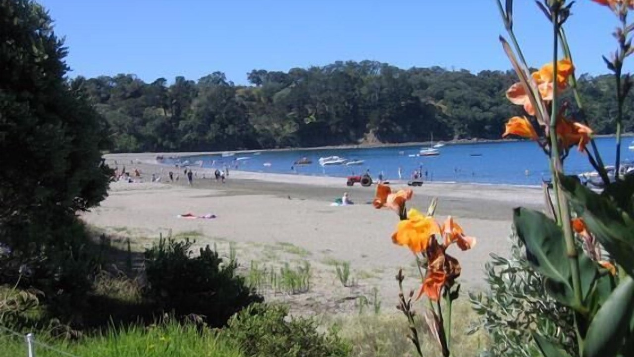 Photo of Others in Mahurangi East