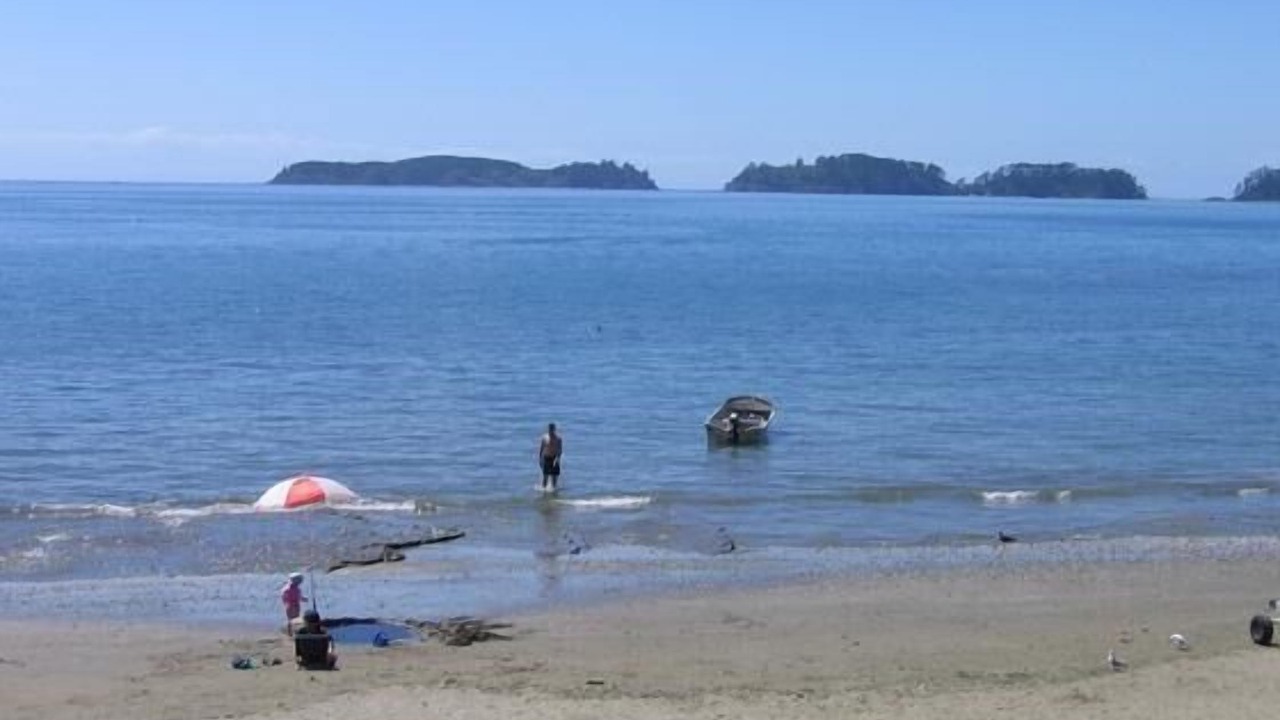 Photo of Others in Mahurangi East