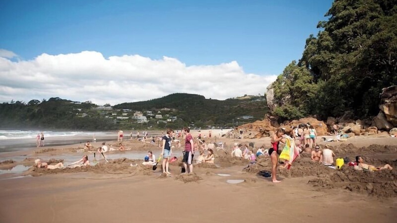 Photo of Others in Whitianga