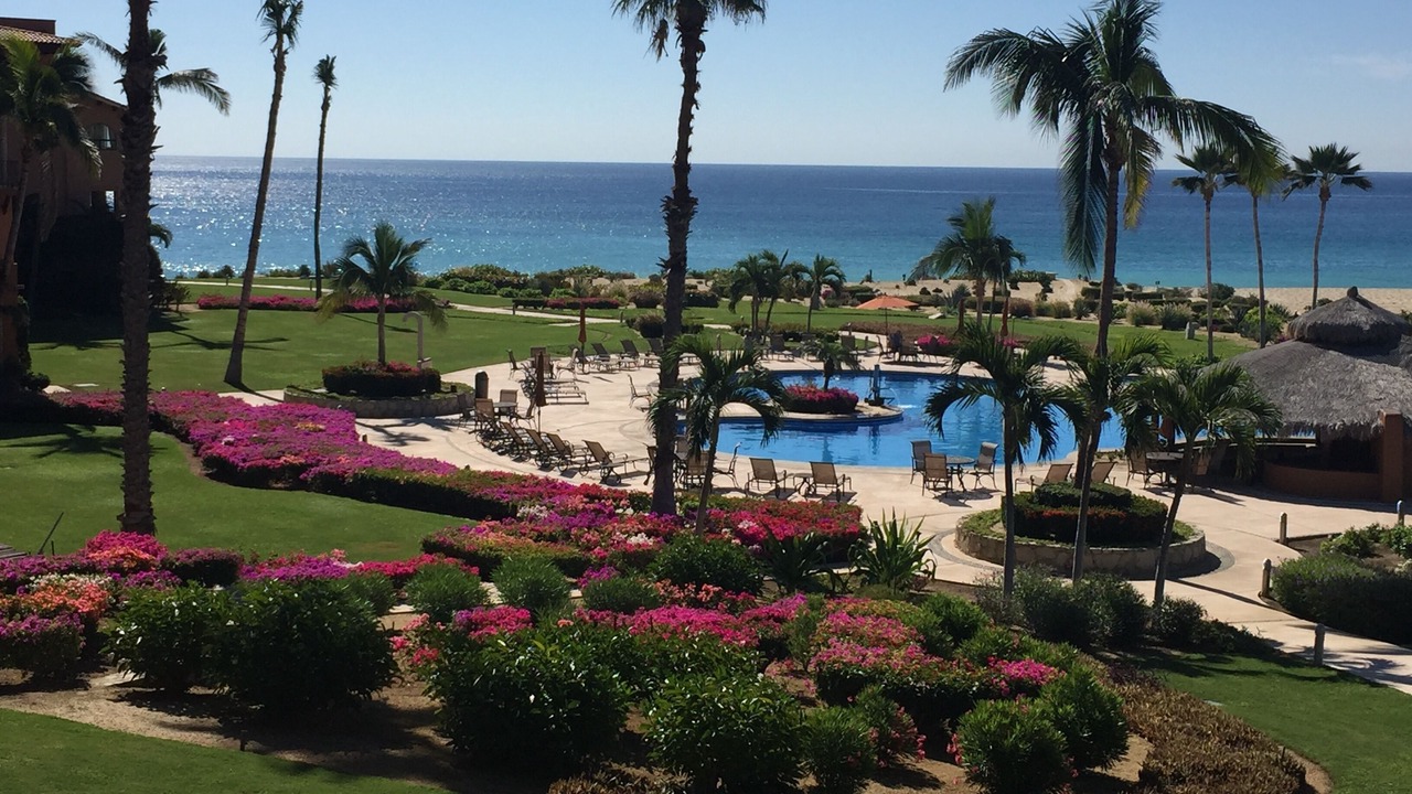 Photo of Outdoor in San Jose del Cabo