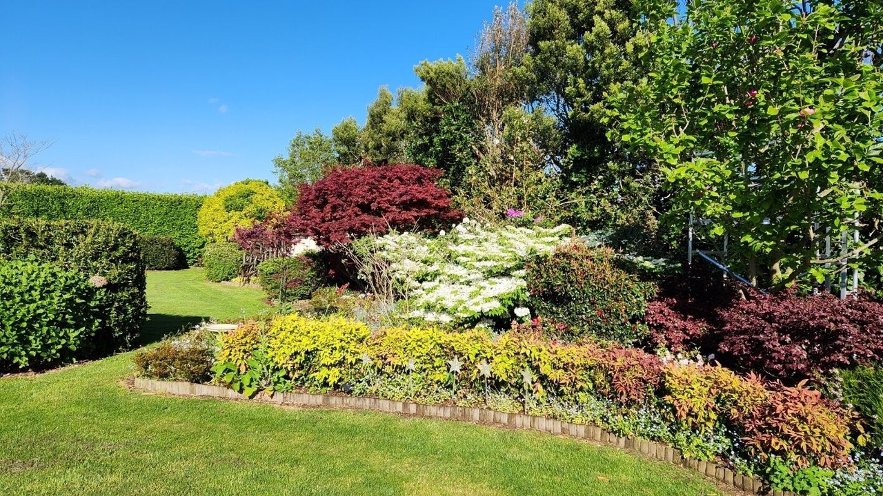 Photo of Outdoor in Waitara