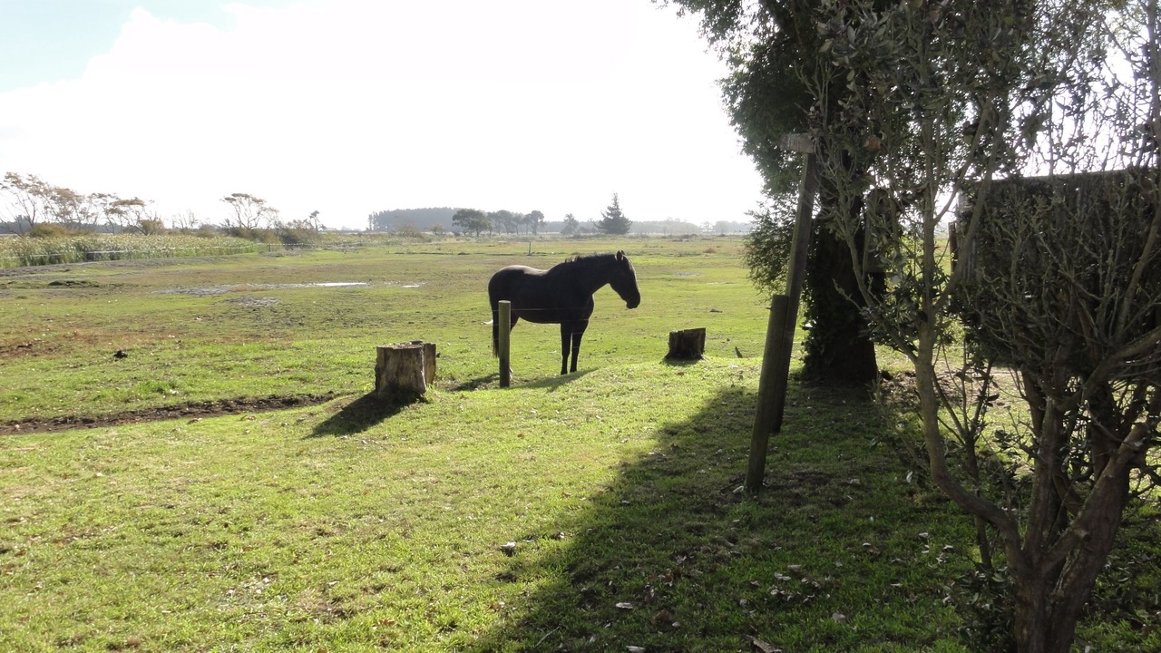 Photo of Others in Pines Beach