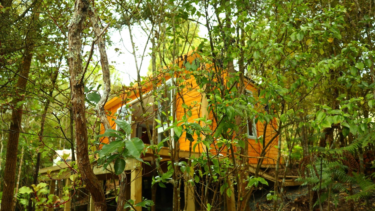 Photo of Outdoor in Wainui