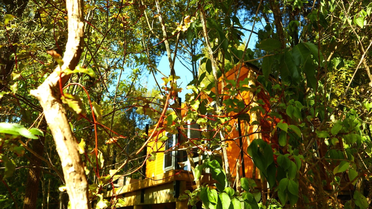 Photo of Outdoor in Wainui