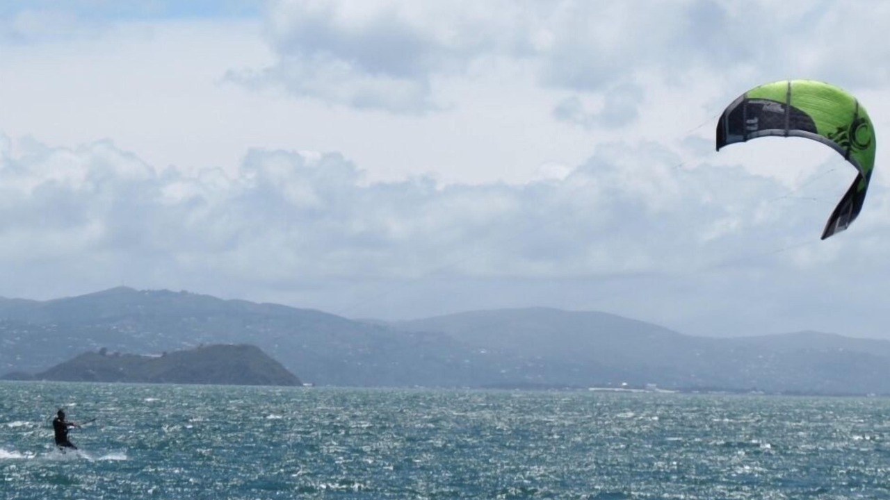 Photo of Others in Seatoun