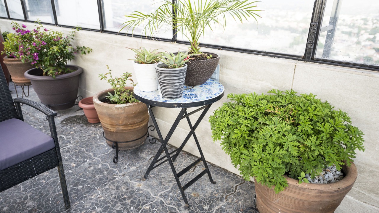 Photo of Patio Balcony in Miguel Hidalgo