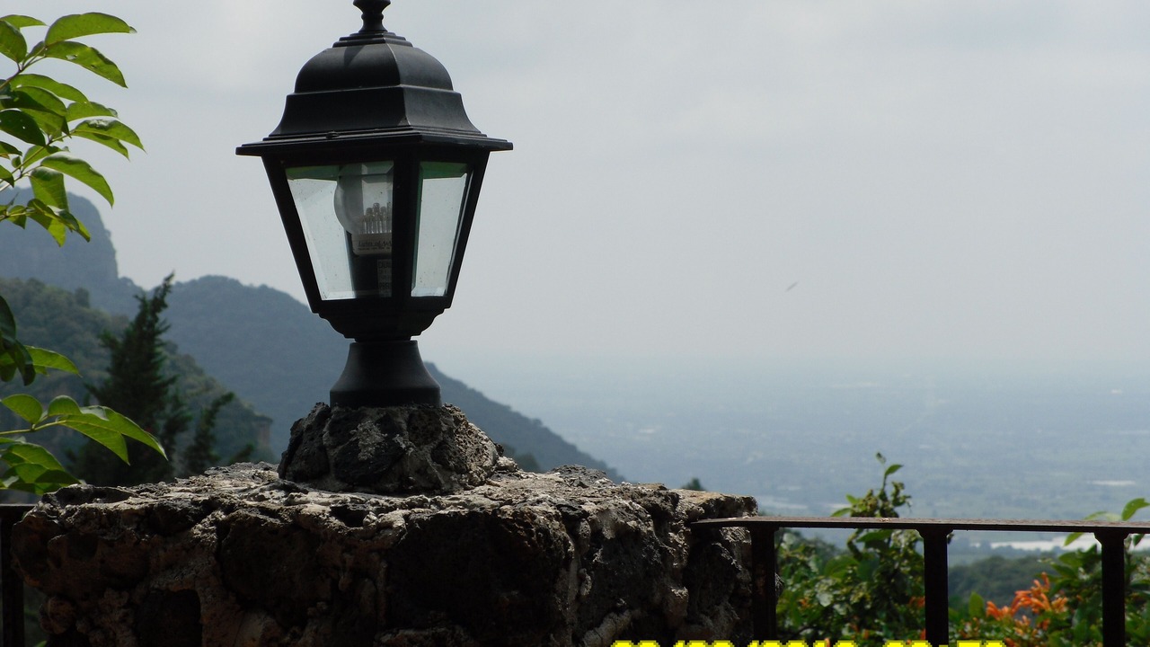 Photo of Others in Amatlan