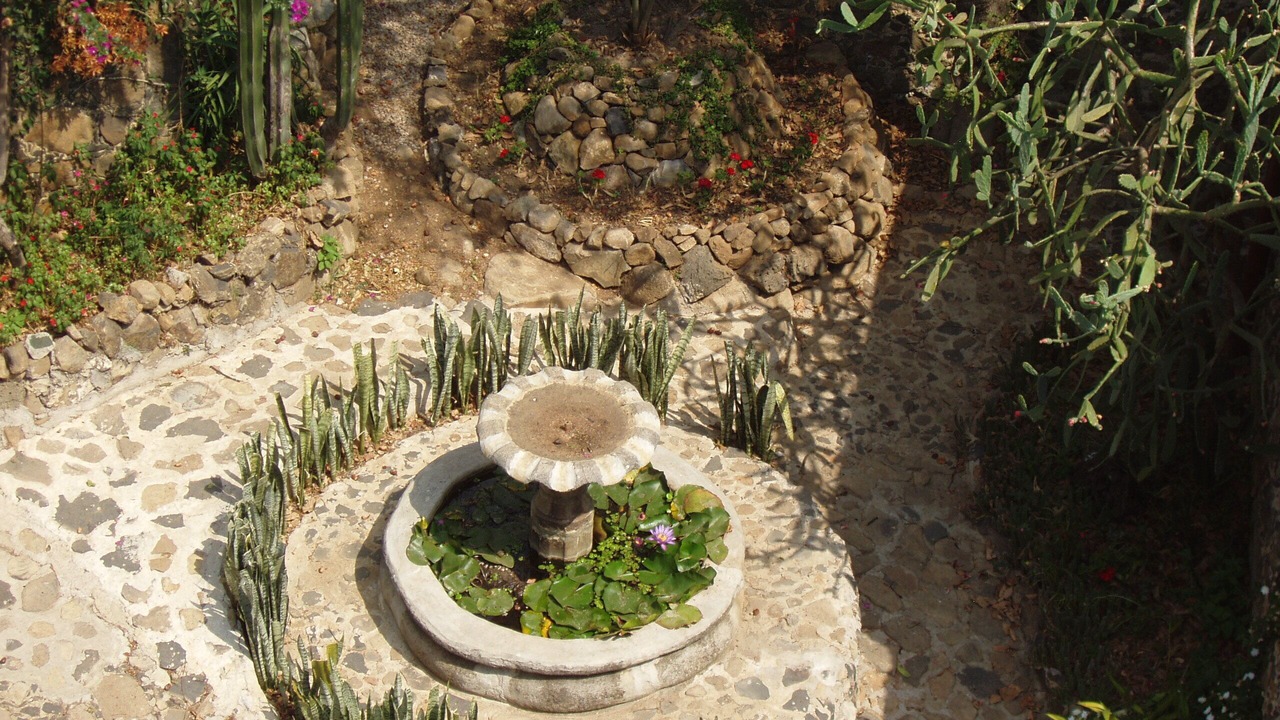 Photo of Outdoor in Amatlan