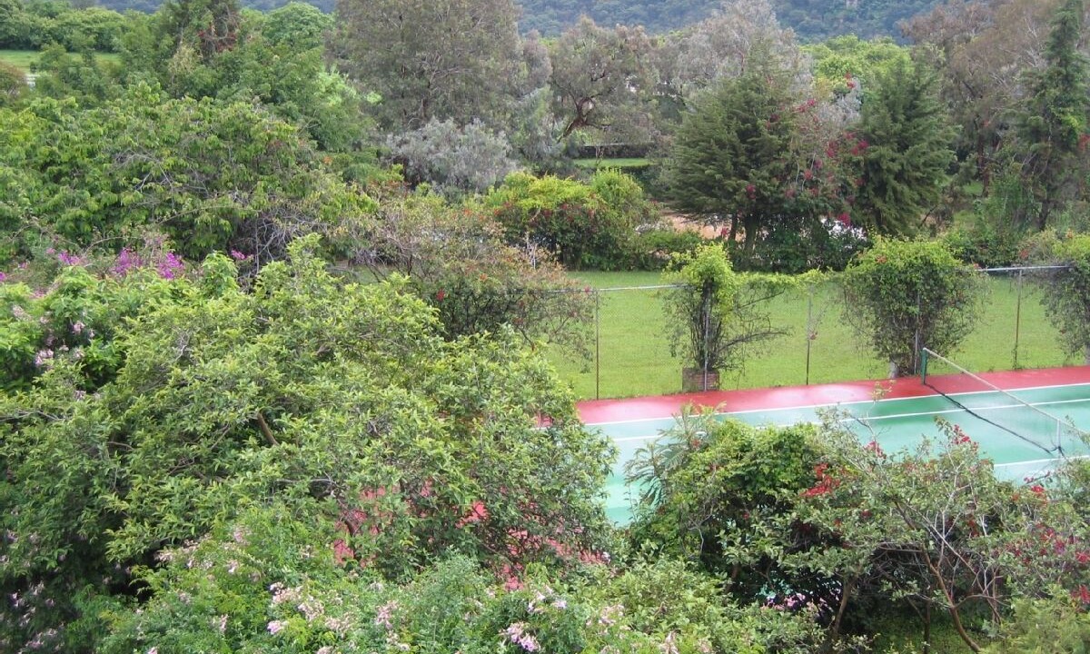 Photo of Others in Amatlan