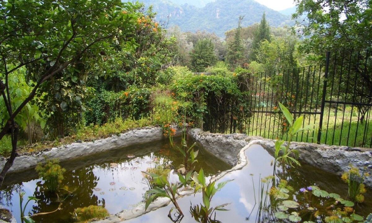 Photo of Outdoor in Amatlan