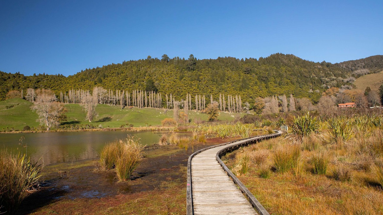 Photo of Others in Lake Okareka