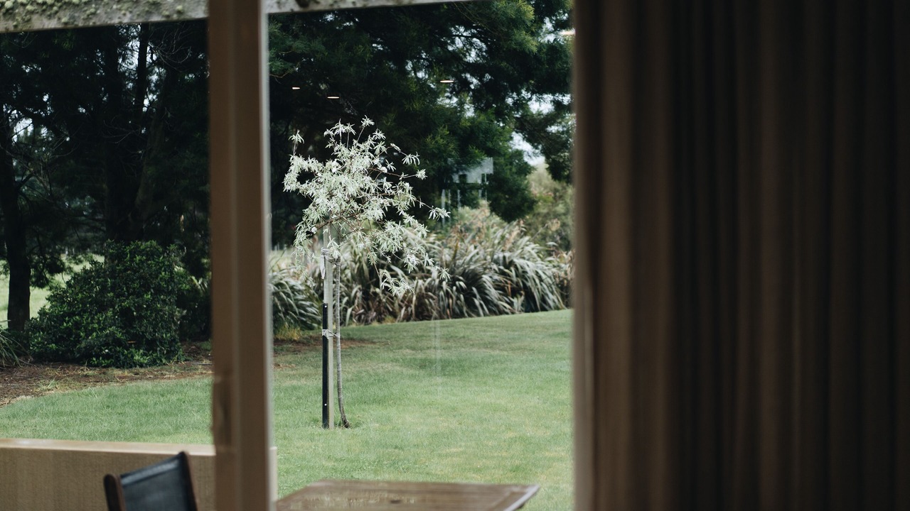 Photo of Patio Balcony in Martinborough
