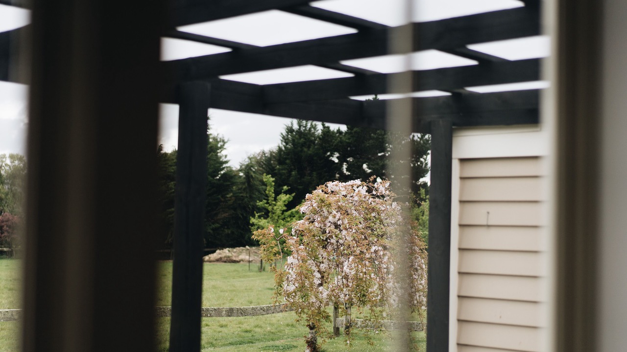 Photo of Patio Balcony in Martinborough