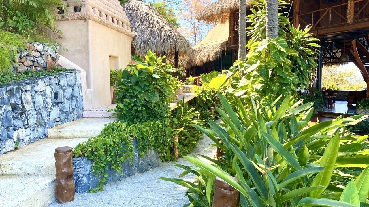 Photo of Outdoor in Ixtapa - Zihuatanejo