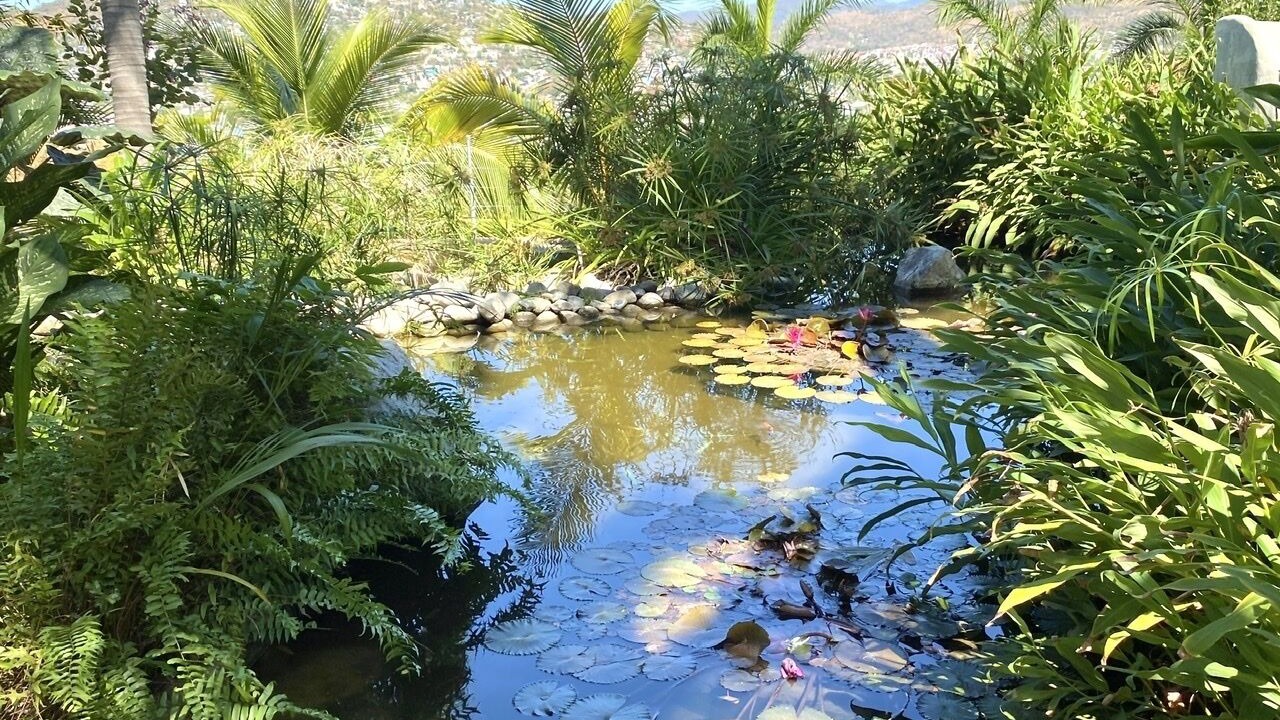 Photo of Outdoor in Ixtapa - Zihuatanejo