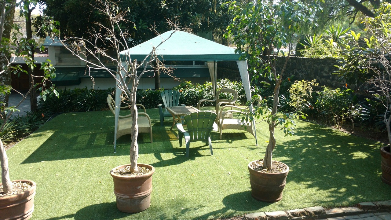 Photo of Outdoor in Coyoacan