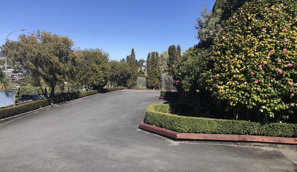 Photo of Outdoor in Stepneyville