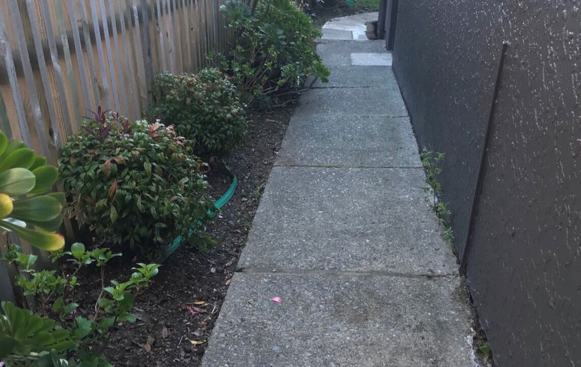 Photo of Outdoor in Stepneyville
