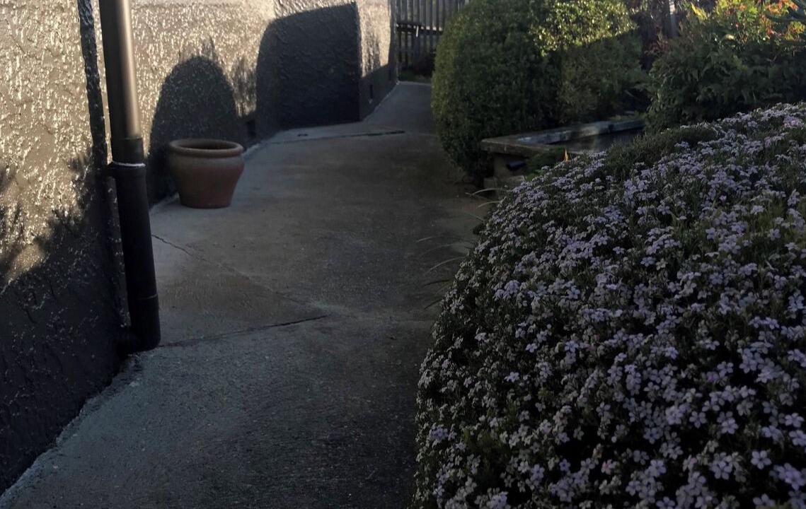 Photo of Outdoor in Stepneyville