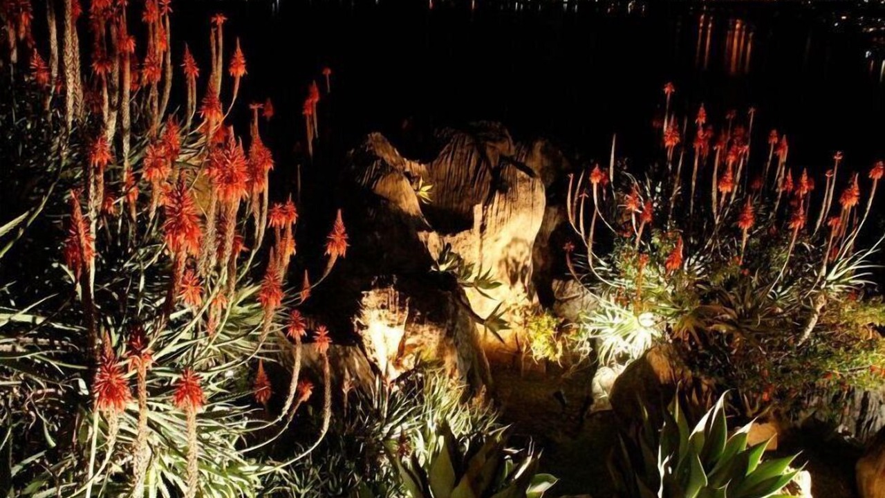 Photo of Outdoor in La Pena