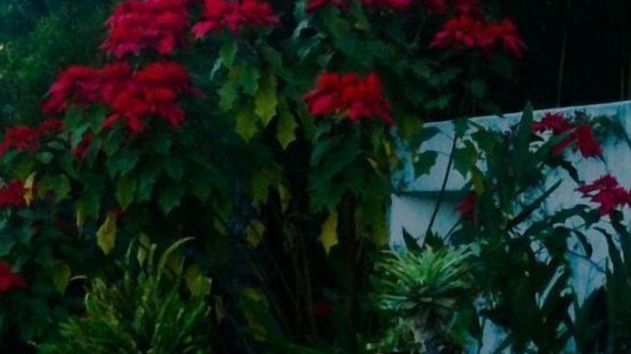 Photo of Outdoor in La Pena
