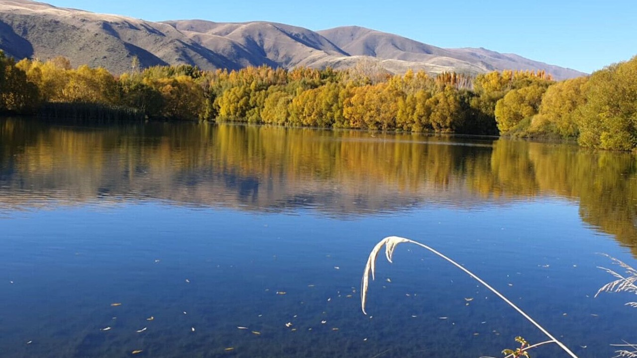 Photo of Others in Twizel
